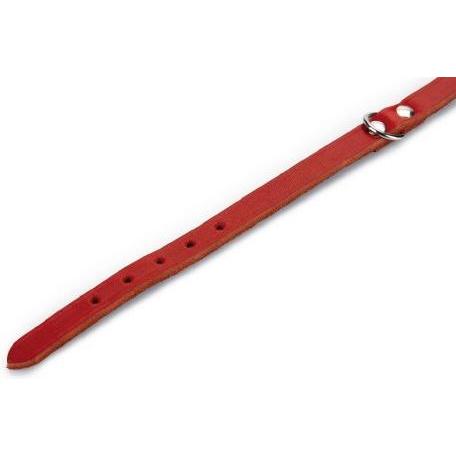Thumbnail - Beeztees BZ LEDERHALSBAND ROT 27X10 (27, Hund, Hundesport), Halsband + Leine