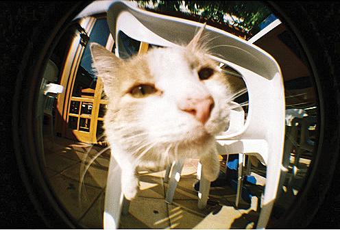 Actual product image Lomography Fisheye No. 2