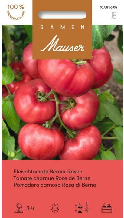 Image du produit Samen Mauser Tomates de boeuf Roses bernoises (Graines de légumes)