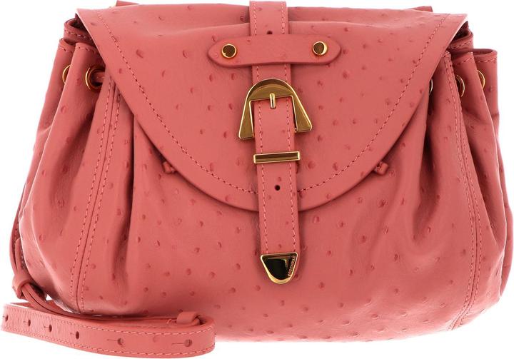 Immagine prodotto Coccinelle Alegoria Ostric Handbag