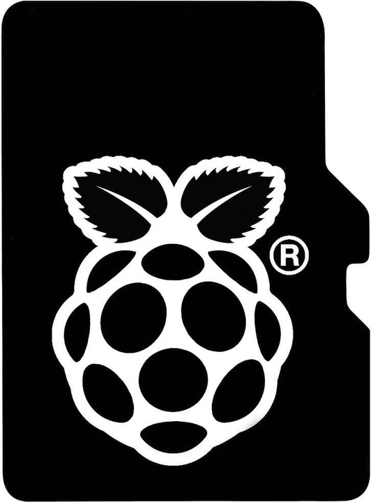 Image du produit Raspberry Pi Carte Micro SD(HC) - 32GB Class 10 / A2 (Sans adaptateur)