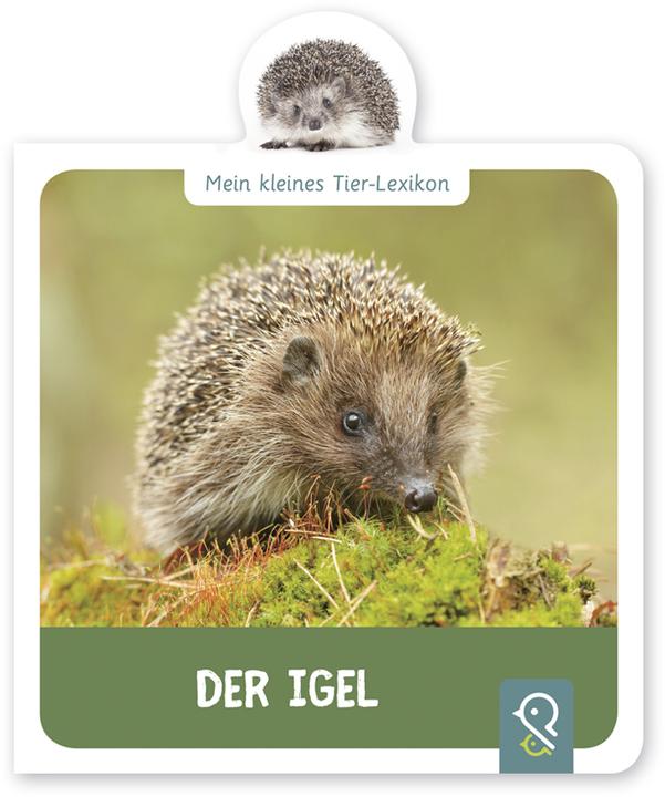 Produktbild Der Igel (Deutsch, Hannah Kastenhuber, 2018)