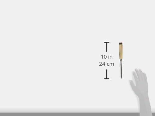 Immagine prodotto Kirschen Sgorbia (10 mm)