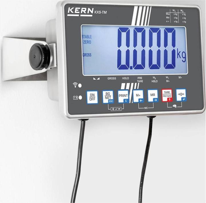 Image du produit Kern IXS 100K-2M Balance à plate-forme Plage de pesée max. 3000 g