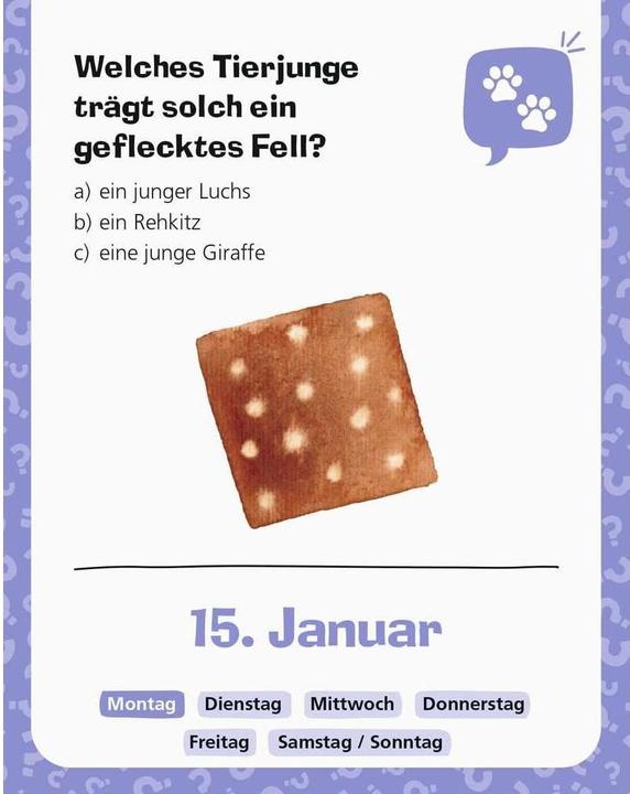 Image du produit Ravensburger Pourquoi? Pourquoi? Pourquoi? : Mon calendrier 2024 (Allemand, Dela Kienle, 2023)