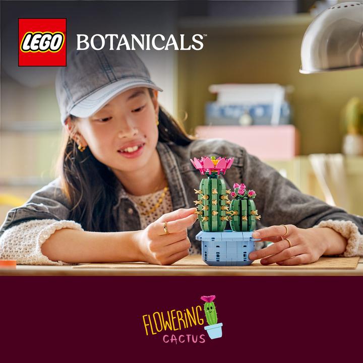 Image du produit LEGO Blühender Kaktus (11509, LEGO Botanical)