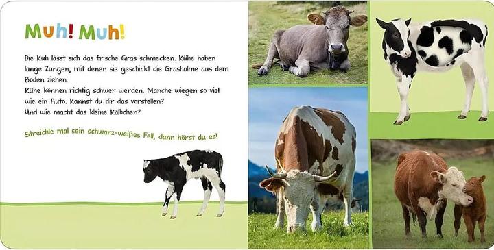 Actual product image Listen, who could that be? In the pasture (German)
