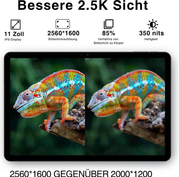 Produktbild Doogee T30 Pro (Tablette 4G - 11", 256 Go, 8 Go RAM) Gris (4G, 11", 256 GB, Grau)