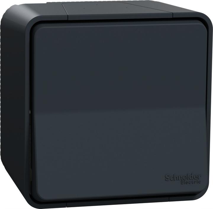 Schneider Electric Rocker Switch IP55