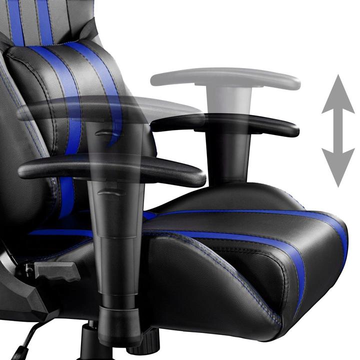 Actual product image tectake Premium Racing