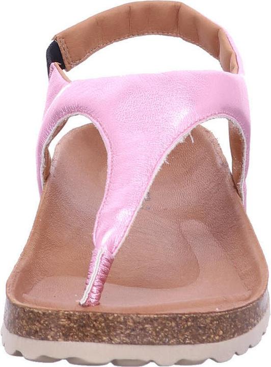 Produktbild Verbenas Reagan (37)