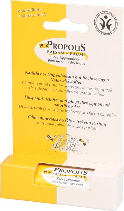 Actual product image Remmele Balsam Stick Biene Maja (Lip balm, 4 ml)