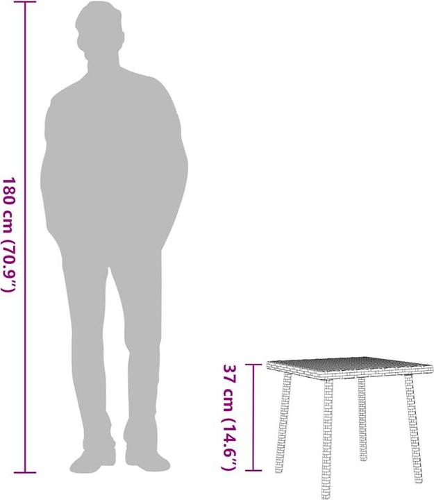 Image du produit vidaXL Garten-Couchtisch