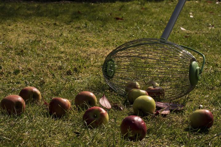 Image du produit Freund Victoria Collecteur de noix et de fruits