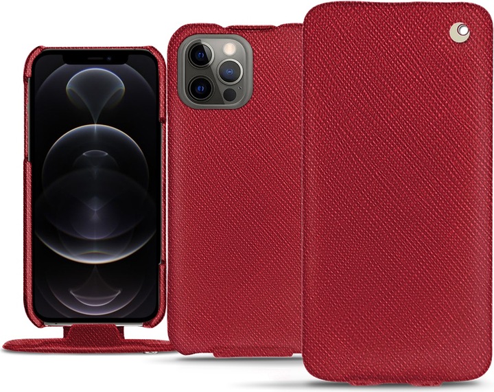 Rouge passion ( Pantone #a6192e )