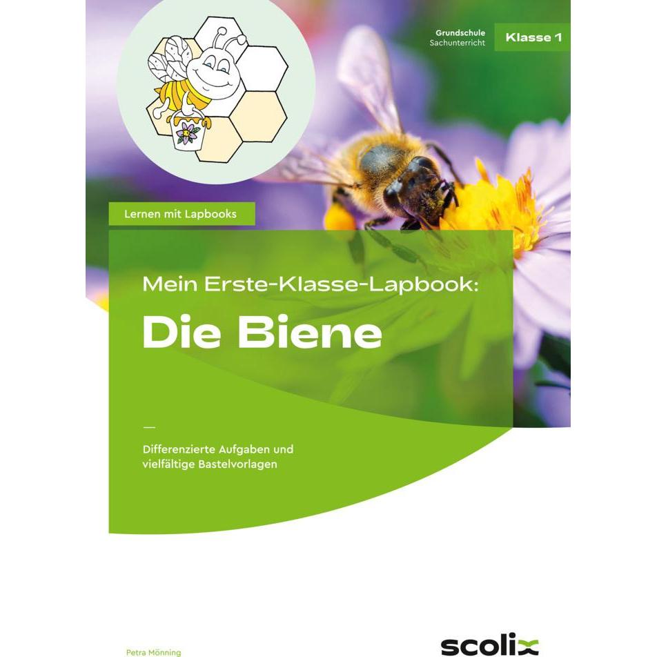 Thumbnail - Mein Erste-Klasse-Lapbook: Die Biene, Schulbücher von Petra Mönning