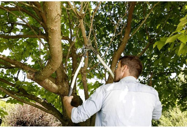 Actual product image Gardena Premium Astschere 700 B