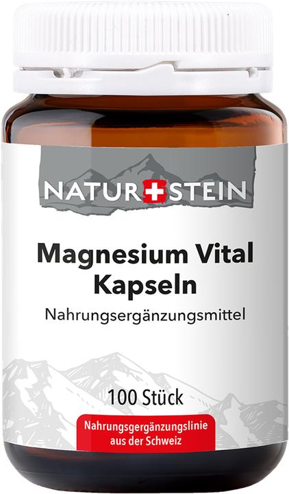Produktbild Naturstein Magnesium Vital (100 Stück, Kapseln, 168 g)