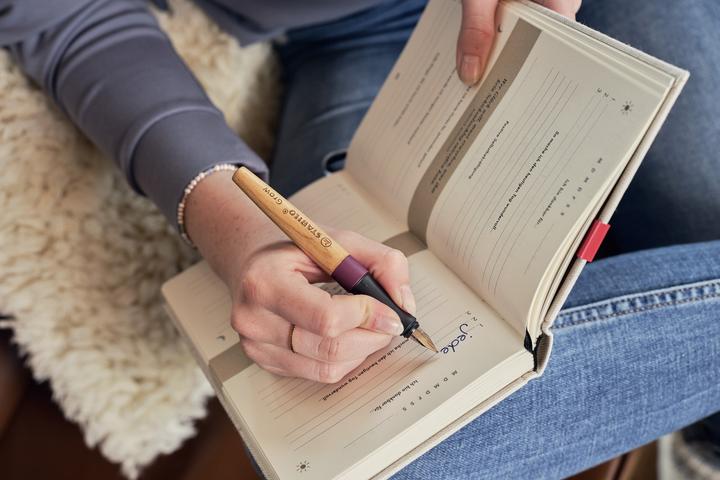 Actual product image STABILO Fountain pen Grow (Cherry, Plum, 1x)