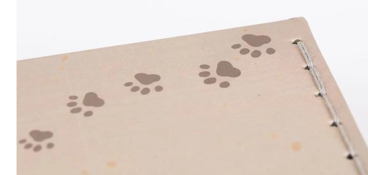 Produktbild Egmont Toys - Veterinary Case - (570116)