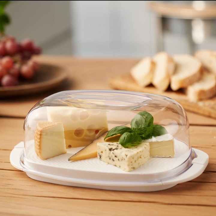 Actual product image Rotho Fresh