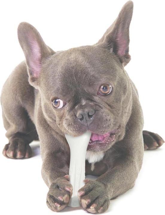 Produktbild Petstages Kauspielzeug Deerhorn (Kauspielzeug Hund)