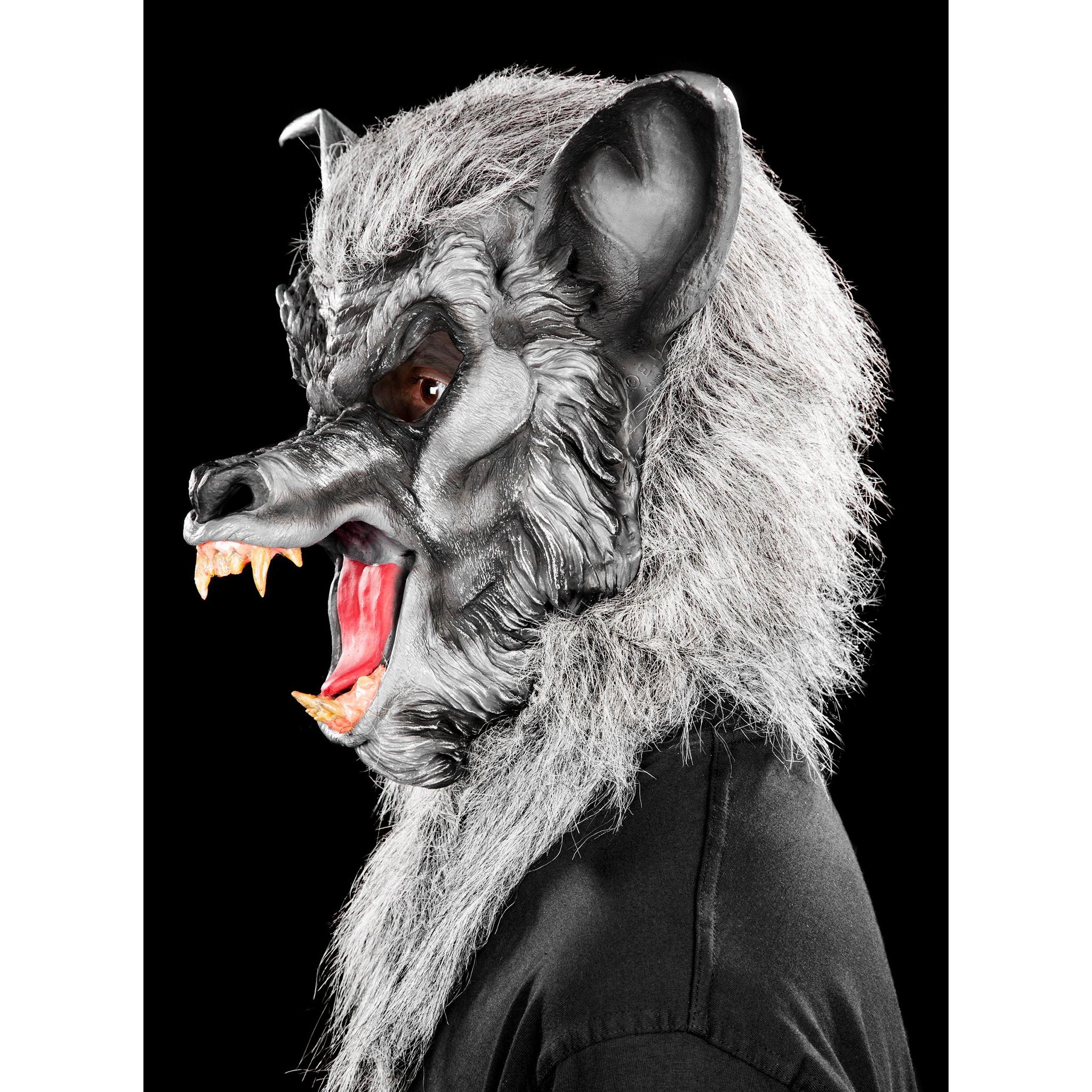 Fun World Division Werwolf grau