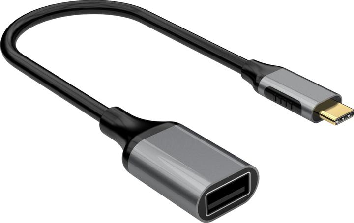 Produktbild OEM iiglo USB-C to USB-A Adapter - Grey