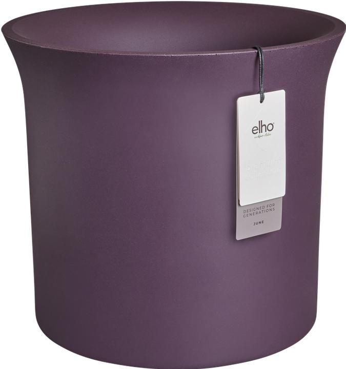 Elho Tulipano di giugno (47 cm)