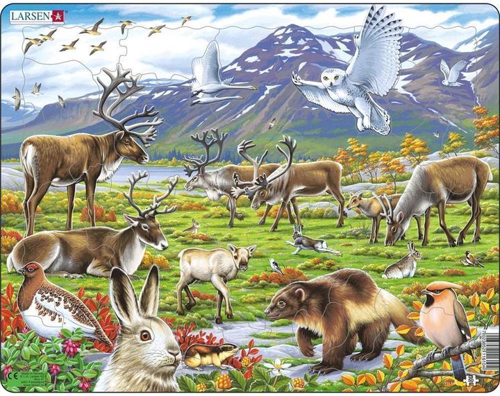 Immagine prodotto Larsen Entroterra artico (50 pezzi)