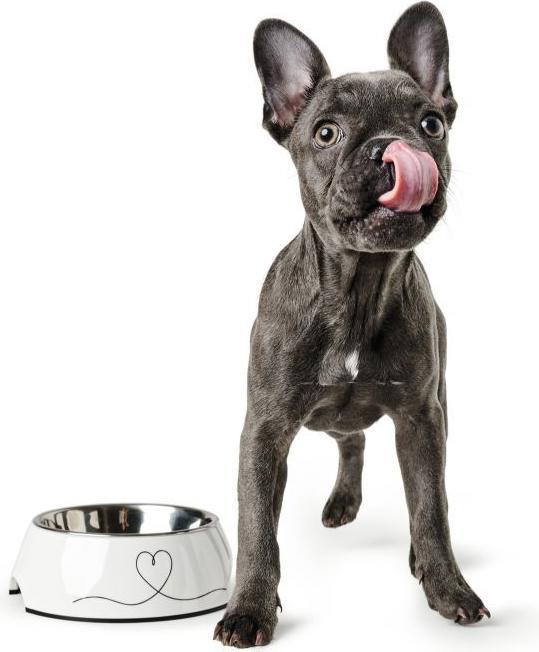 Produktbild Hunter Melamin-Napf (0.16 l)