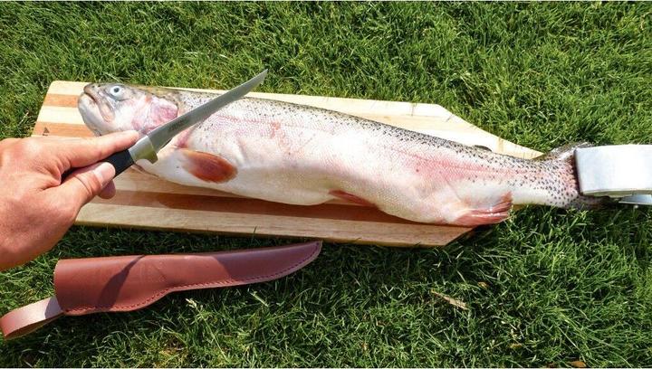 Image du produit Jenzi Planche à fileter le poisson, extra large