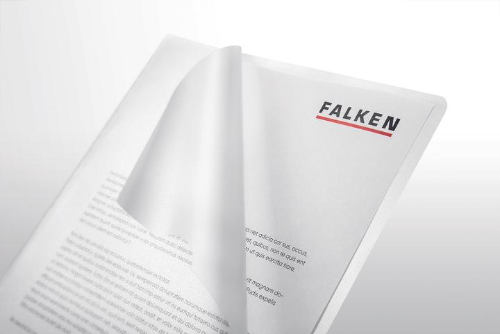 Actual product image Falken Economy file cover (A4, 100 x)