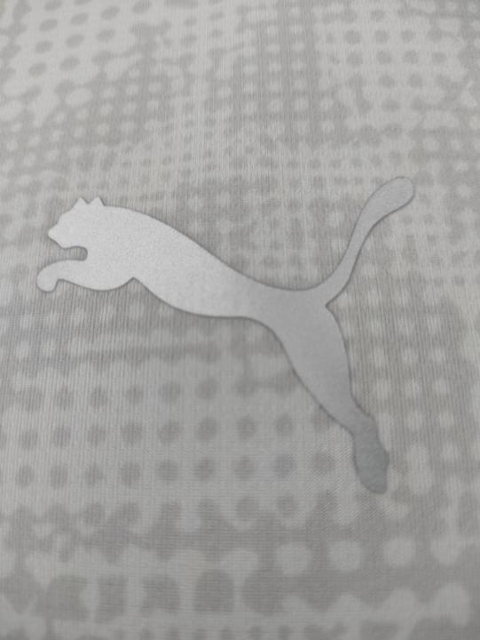 Actual product image Puma teamCUP Training Jersey (M)