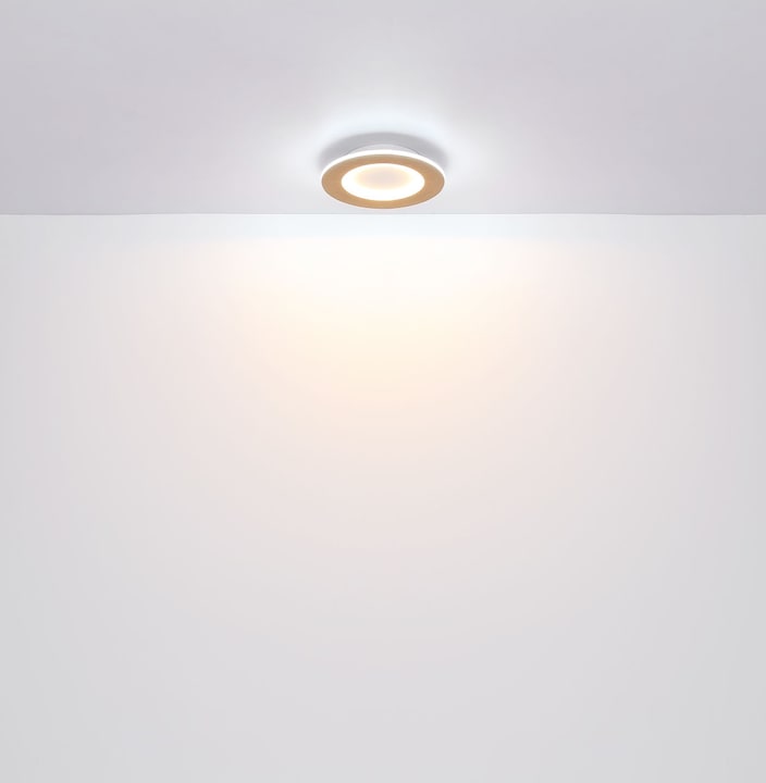 Image du produit Globo Plafonnier Clay blanc LED (1300 lm)