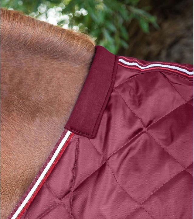 Produktbild Premier Equine 100g (221 cm)