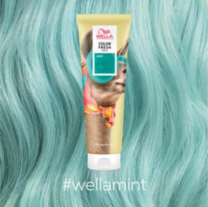 Image du produit Wella Color Fresh (150 ml)