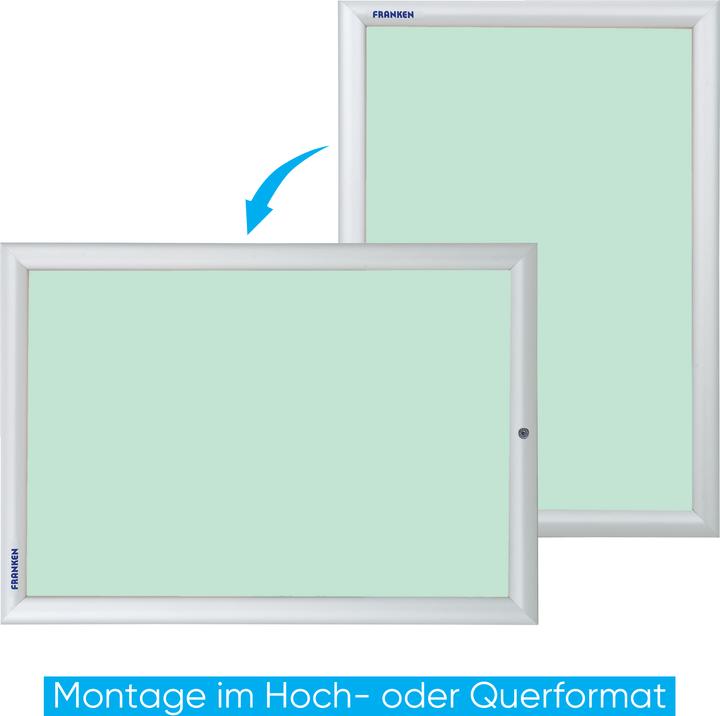 Actual product image Franken Poster Frame Security Lockable