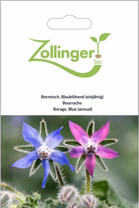 Zollinger Bio Borragine, fiore blu (Semi di piante)