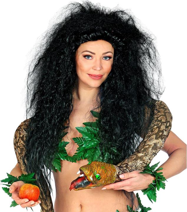 Produktbild Widmann Böse Hexe