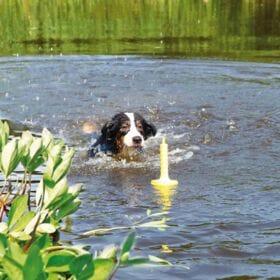 Produktbild Trixie Dog Activity Mot-Aqua 29cm