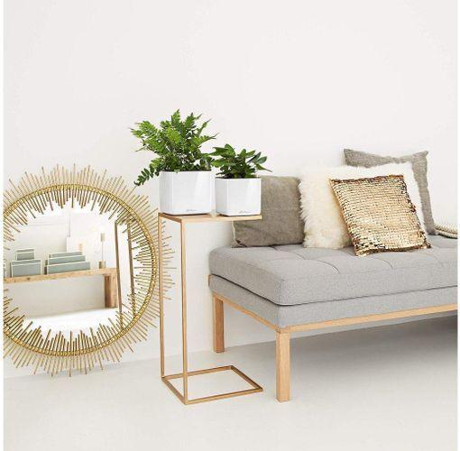 Actual product image Lechuza Cube Glossy (14 cm)