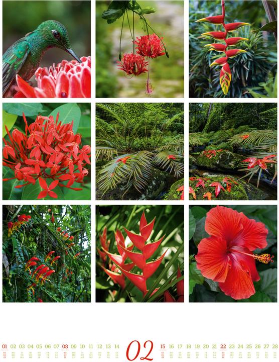 Image du produit Inspiration Natur Kalender 2026 (Couverture rigide, Anglais, Français, Allemand)