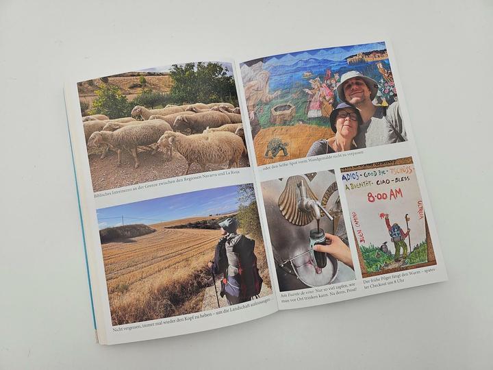 Produktbild Piper Leichtes Herz und schwere Beine (Deutsch, Tobias Schlegl, 2025)