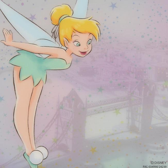 Actual product image Disney Tinkerbell Transparentes Karte