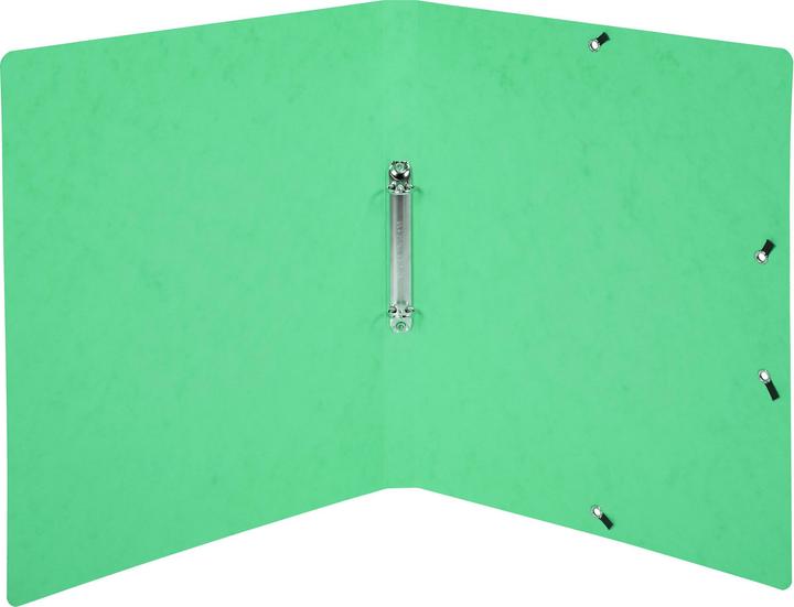 Actual product image Exacompta Colorspan (A4, 20 mm, 1 pcs.)