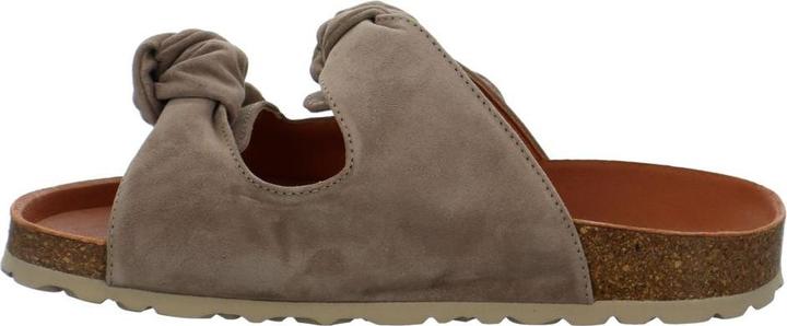 Actual product image Verbenas Rain (39)