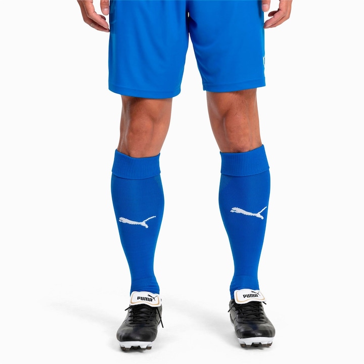 Produktbild Puma Team LIGA Socks-703438 (34 - 36, 46 - 48, 43 - 45, 31 - 33, 40 - 42, 37 - 39, 39 - 42)