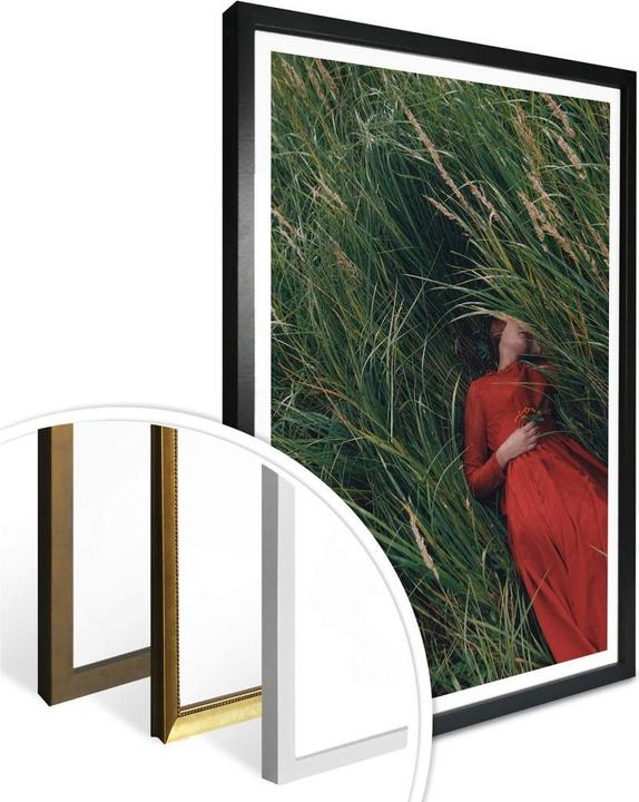 Image du produit Trenddeko Dans la prairie (30 x 40 cm)
