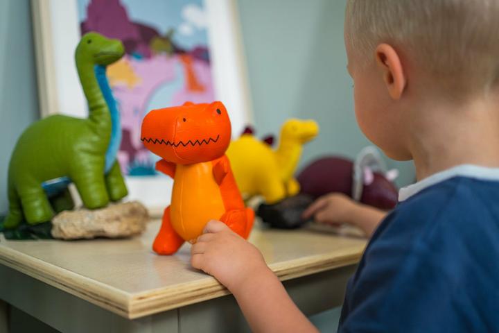 Actual product image Little Big Friends Dino Friends Rex the Tyrannosaurus (25 cm)